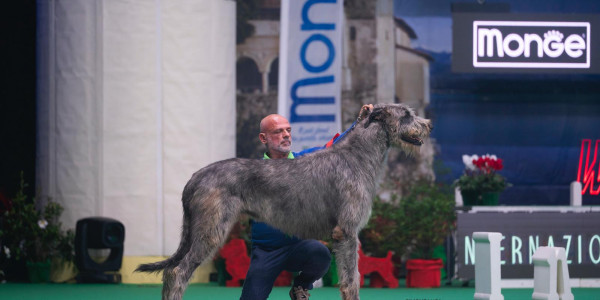 Insubria Winner Circuit 2025