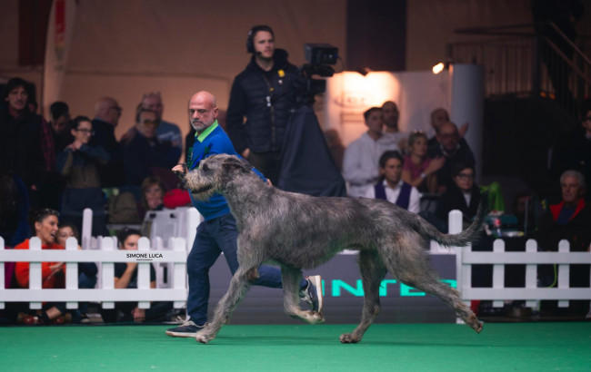 Insubria Winner Circuit 2025