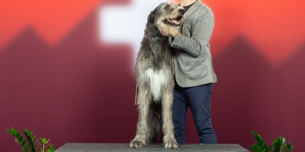 International Dog Show Geneva 2018  - III Charles dei MAngialupi BOB