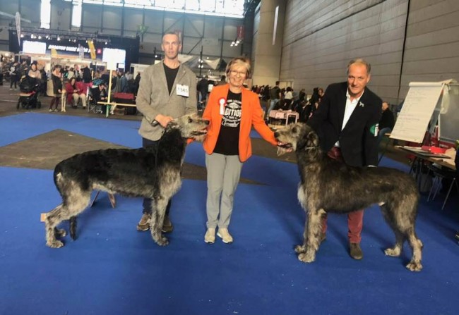 International Dog Show Geneva 2018  - III Charles dei MAngialupi BOB