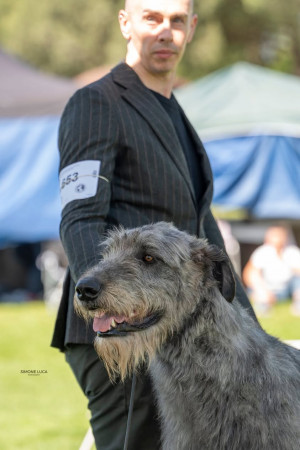 International  Dog Show San Zeno (Arezzo) 🇮🇹