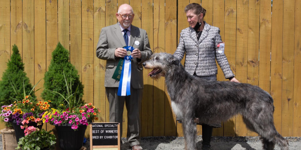 Irish Wolfhound Club of America 92nd National Specialty May 10-12, 2022