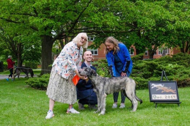 Irish Wolfhound Club of Canada - 17th Québec Regional Specialty  - June 1, 2019