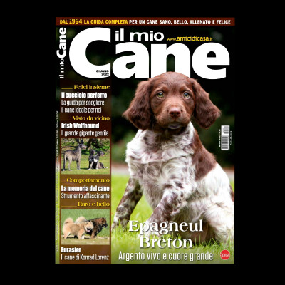 Italian magazine "Il Mio cane n. 302"  Report of 12 pages on the Irish Wolfhound - Don't miss it! Coming soon to newsstands!