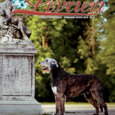 "Levrieri" the official Magazine of the Italian Sighthound Club - Spring Summer 2019 - Cover Tommy dei Mangialupi
