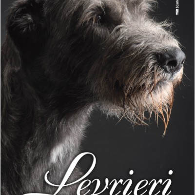 "Levrieri" the official Magazine of the Italian Sighthound Club - Winter 2015 - Cover Will Scarlet dei Mangialupi
