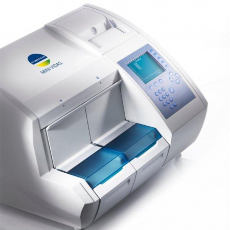 Heat and Gestation Monitoring in the Irish Wolfhound