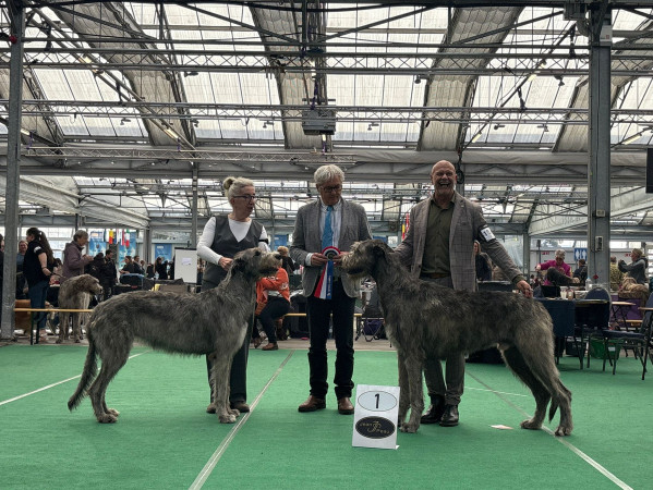 Bleiswijk International Dog Show Netherlands 🇳🇱