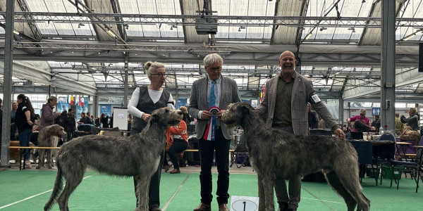 Bleiswijk International Dog Show Netherlands 🇳🇱