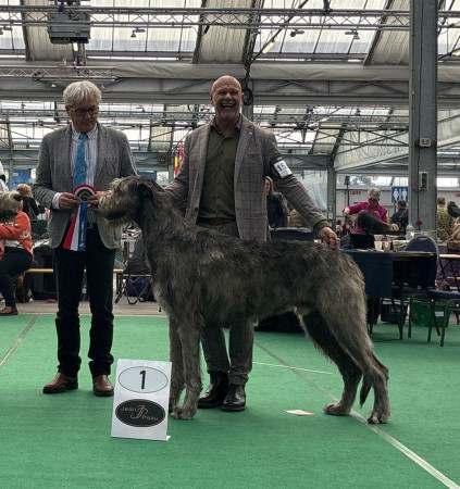 Bleiswijk International Dog Show Netherlands 🇳🇱