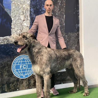 International  Dog Show San Marino  🇸🇲