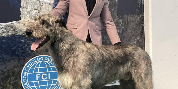International  Dog Show San Marino  🇸🇲