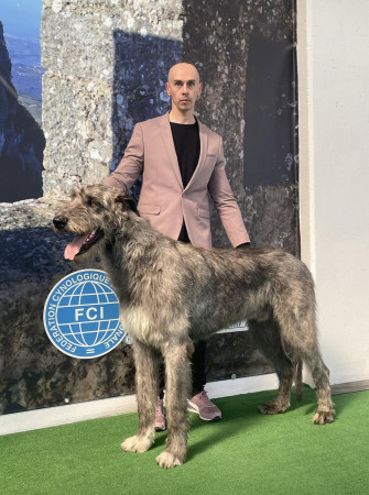 International  Dog Show San Marino  🇸🇲