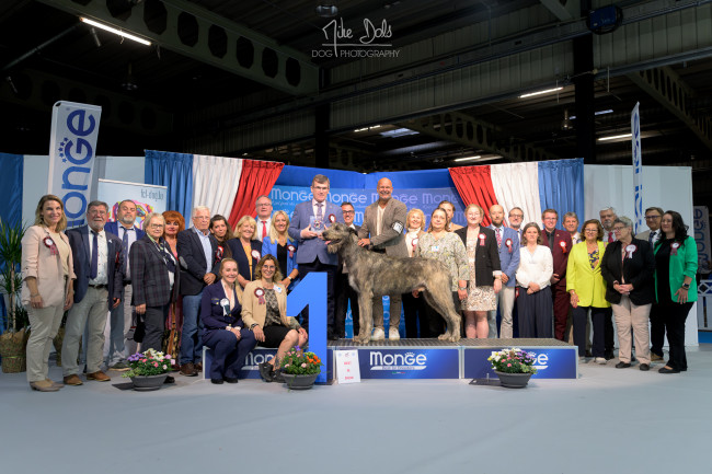 International Dog  Show  Luxemburg 🇱🇺 Cuore went BEST IN SHOW at only 15 months old.