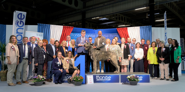 International Dog  Show  Luxemburg 🇱🇺 Cuore went BEST IN SHOW at only 15 months old.