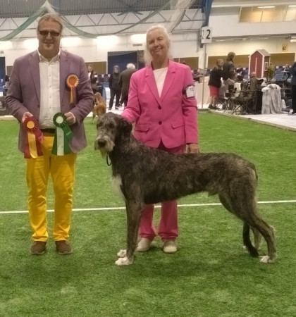 International Dog Show  Åland, Finland 🇫🇮