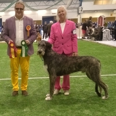 International Dog Show  Åland, Finland 🇫🇮