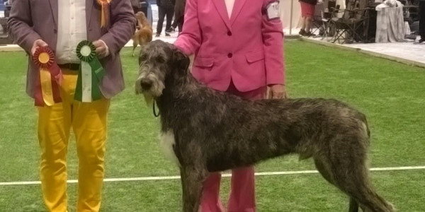 International Dog Show  Åland, Finland 🇫🇮