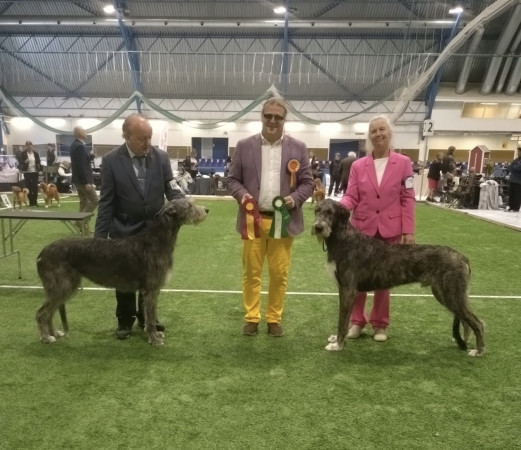 International Dog Show  Åland, Finland 🇫🇮