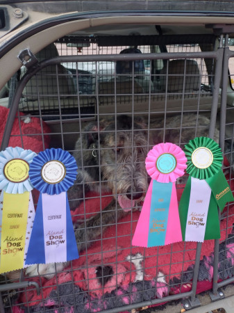 International Dog Show  Åland, Finland 🇫🇮