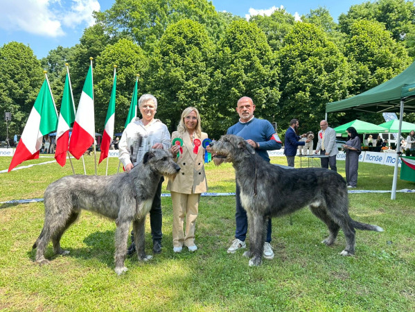 National Dog Show Seveso 🇮🇹