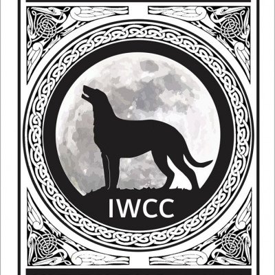 National and the Ontario Regional Specialties  2019 by Alex Riva   published  in Irish Wolfhound World Magazine