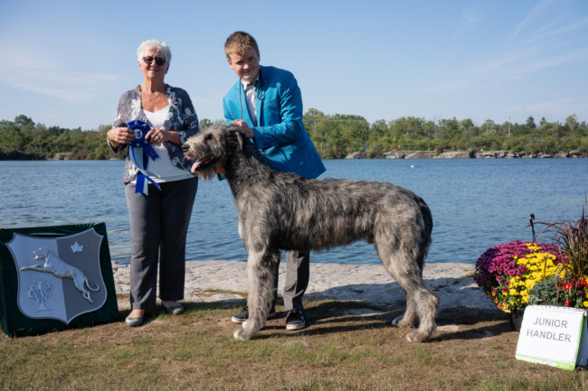 National and the Ontario Regional Specialties  2019 by Alex Riva   published  in Irish Wolfhound World Magazine