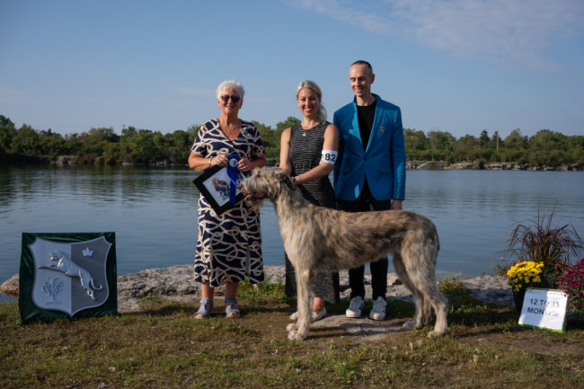 National and the Ontario Regional Specialties  2019 by Alex Riva   published  in Irish Wolfhound World Magazine