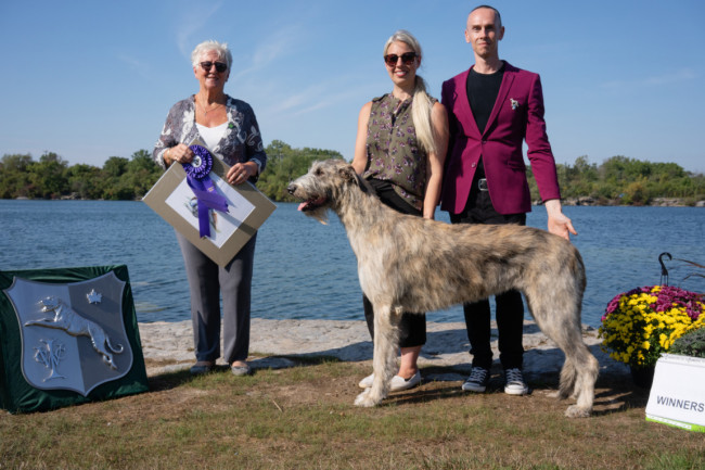 National and the Ontario Regional Specialties  2019 by Alex Riva   published  in Irish Wolfhound World Magazine