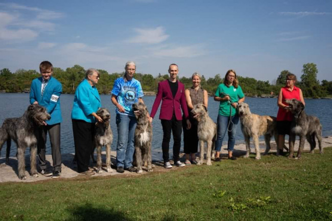 National and the Ontario Regional Specialties  2019 by Alex Riva   published  in Irish Wolfhound World Magazine