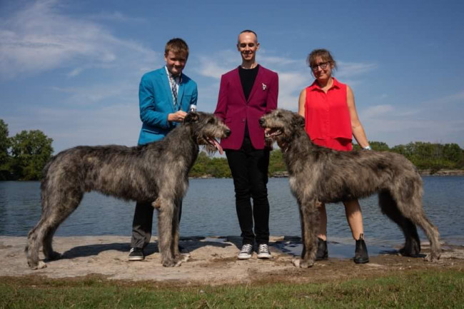 National and the Ontario Regional Specialties  2019 by Alex Riva   published  in Irish Wolfhound World Magazine