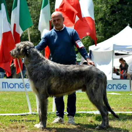 Mostra Nazionale di Seveso 🇮🇹