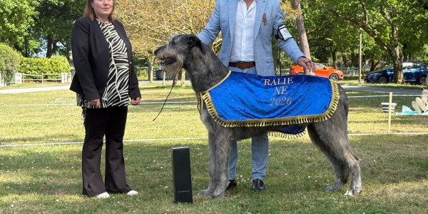 Nationale D’élevage 2026 France 🇫🇷