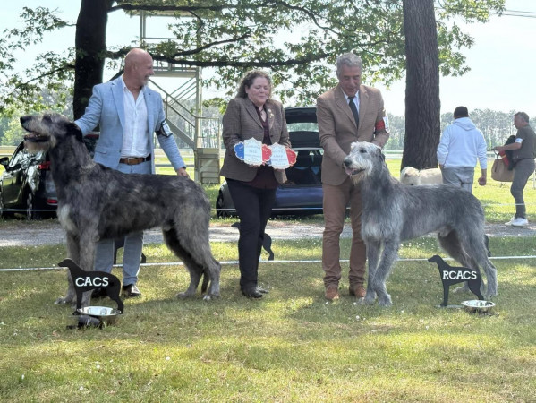 Nationale D’élevage 2026 France 🇫🇷