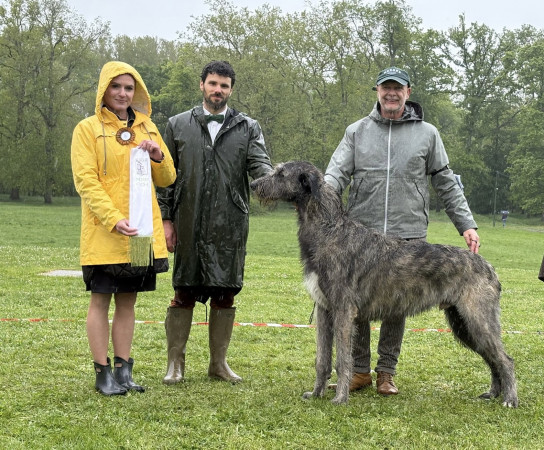 Nationale d'élevage NE RALIE 2025 ROMORANTIN 🇫🇷 Cuore got BIS JUNIOR and BEST HEAD of the Show.