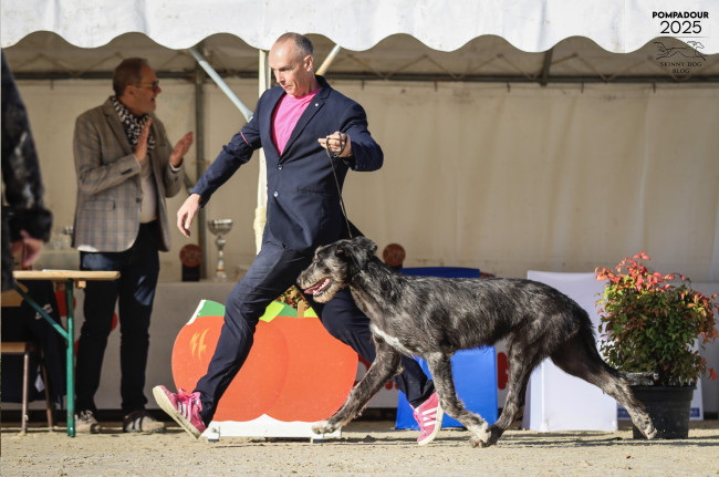 POMPADOUR FRANCIA 2025 π«π·