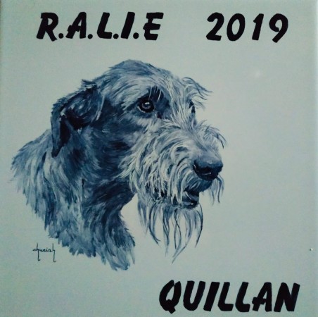 QUILLAN RALIE 2019 NATIONALE D’ELEVAGE  IRISH WOLFHOUND