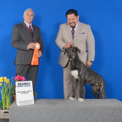 Seaway  Ontario Canada - Sat.May 4/2019 Three Little Birds Grooving To The Music- Gypsy wins Best Baby Puppy in Group