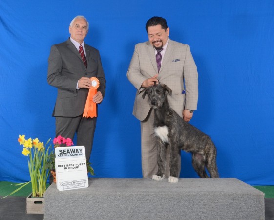 Seaway  Ontario Canada - Sat.May 4/2019 Three Little Birds Grooving To The Music- Gypsy wins Best Baby Puppy in Group