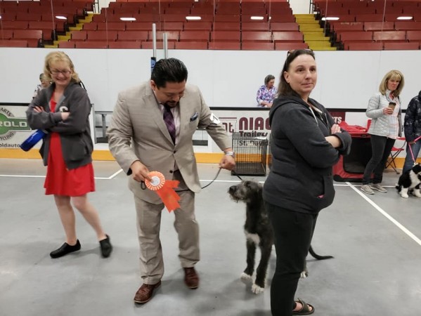 Seaway  Ontario Canada - Sat.May 4/2019 Three Little Birds Grooving To The Music- Gypsy wins Best Baby Puppy in Group