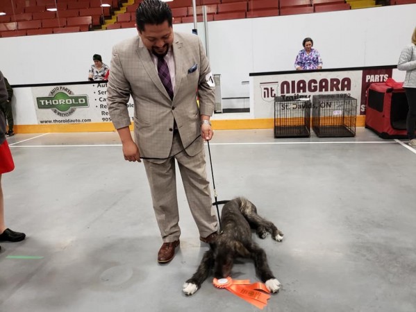 Seaway  Ontario Canada - Sat.May 4/2019 Three Little Birds Grooving To The Music- Gypsy wins Best Baby Puppy in Group