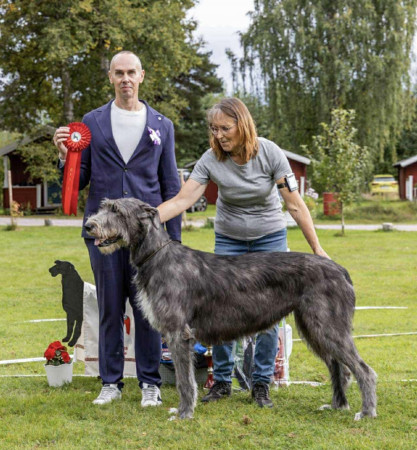 Sifferbo 2025 🇸🇪