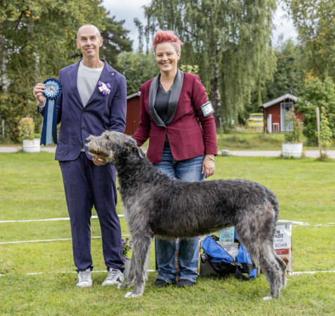 Sifferbo 2025 🇸🇪