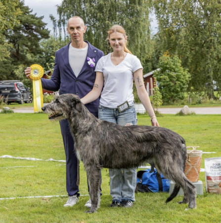 Sifferbo 2025 🇸🇪