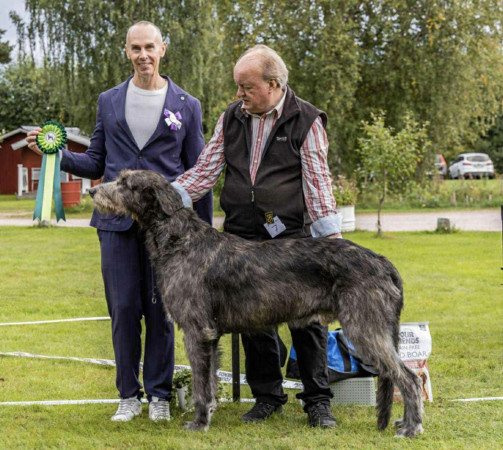 Sifferbo 2025 🇸🇪