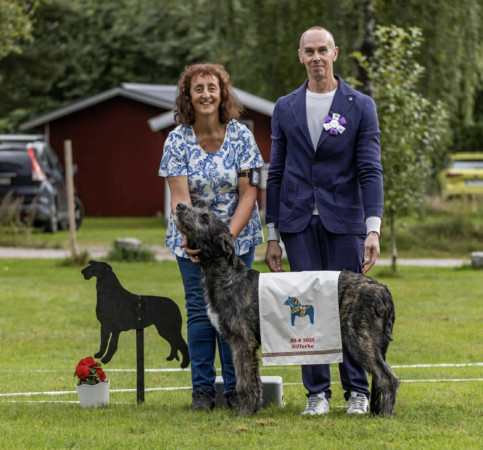 Sifferbo 2025 🇸🇪