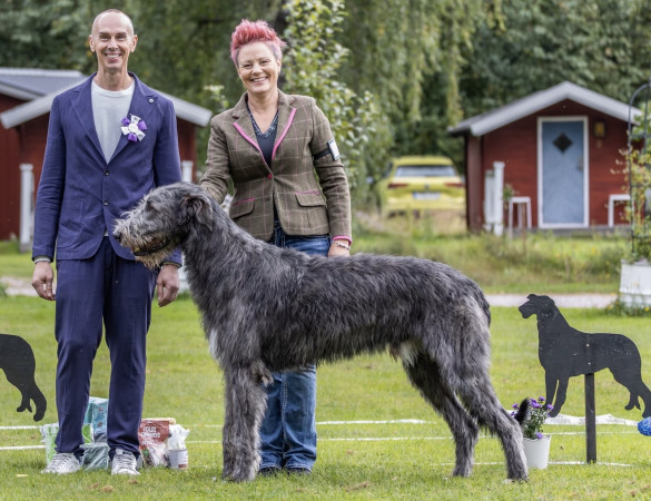 Sifferbo 2025 🇸🇪
