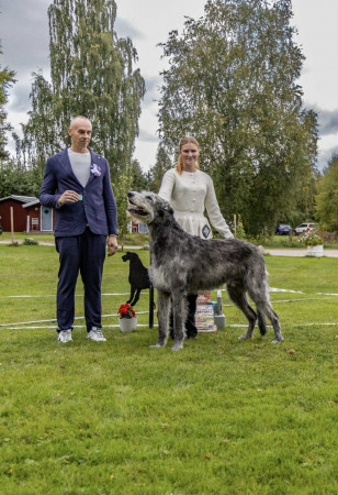 Sifferbo 2025 🇸🇪