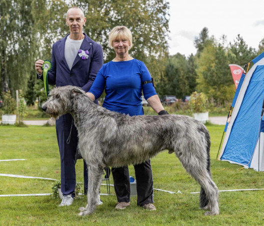 Sifferbo 2025 🇸🇪