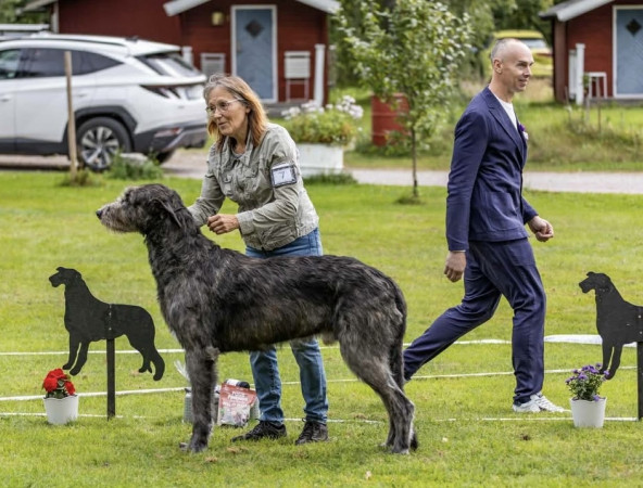 Sifferbo 2025 🇸🇪